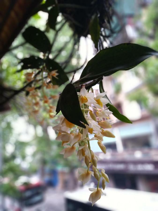 Hanoi Balcony Homestay Экстерьер фото