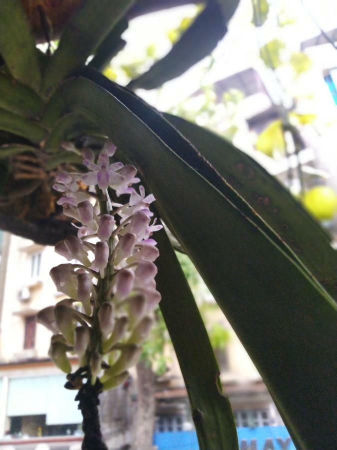 Hanoi Balcony Homestay Экстерьер фото